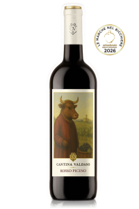 valdaso rosso piceno